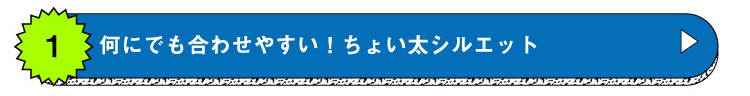 なんにでも合わせやすい ちょい太シルエット