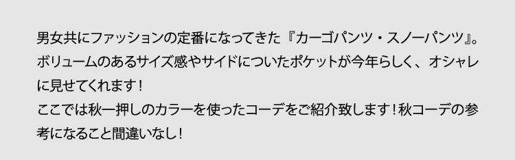 男女ともにファッションの定番になってきた「カーゴパンツ・スノーパンツ」ボリュームのあるサイズ感やサイドについたポケットが今年らしく、
	 オシャレに見せてくれます！ここでは秋の一押しカラーを使ったコーデをご紹介いたします！秋のコーデの参考になる事間違いなし！