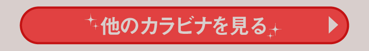 他のカラビナを見る