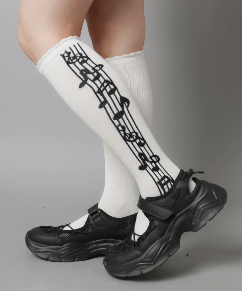 000000103741-35-l.jpg?t=